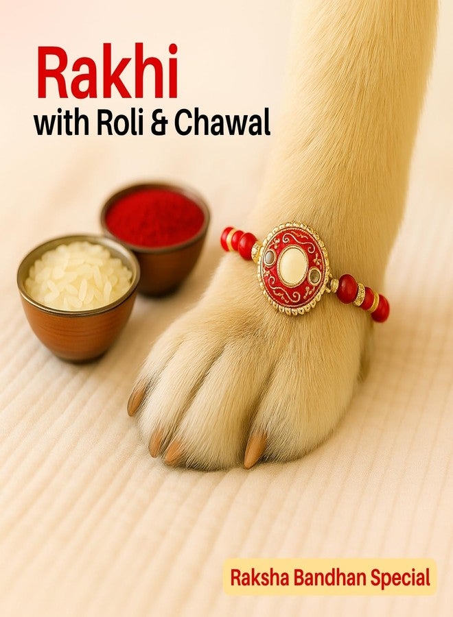 Sage Square Paw Bandhan Rakhi for Dog, Cat & Small Pets | Celebrate Bonds of Love This Raksha Bandhan | Cute Rakhi with Beads, Decorative Threads | Gift for Pet Lovers & Furry Companions (Type 25) - Image 3